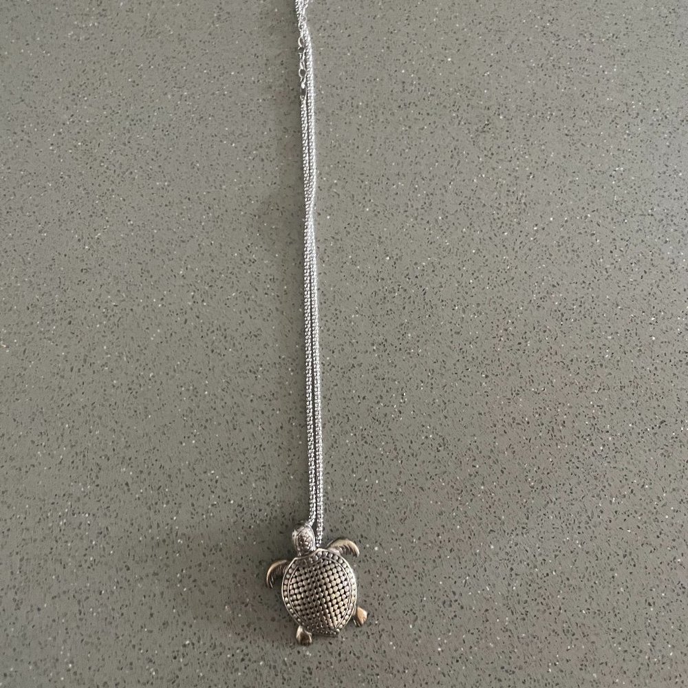 Silver Turtle Necklace